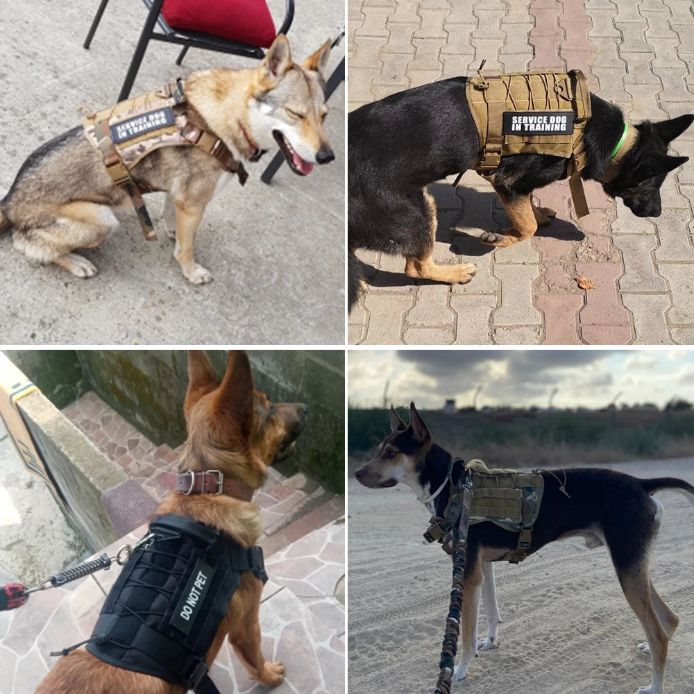 Tactical Dog Harness with Training Vest & Leash Attachment