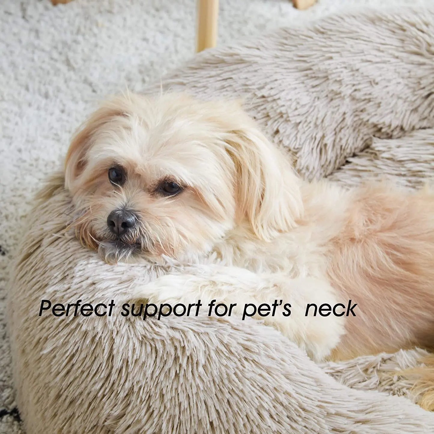 Super Soft Cat and Small Dogs Bed Nest