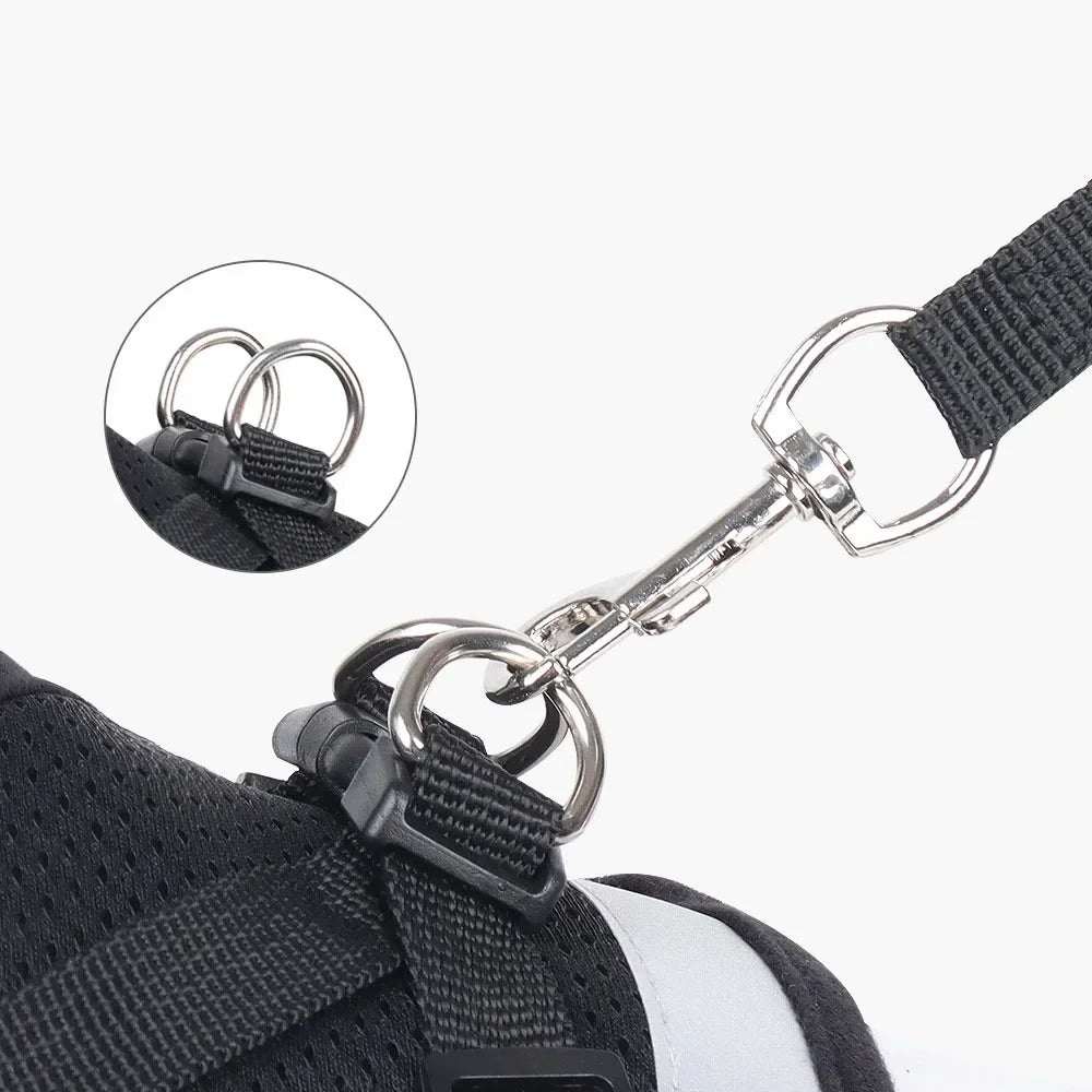 Adjustable Cat Harness & Leash Set