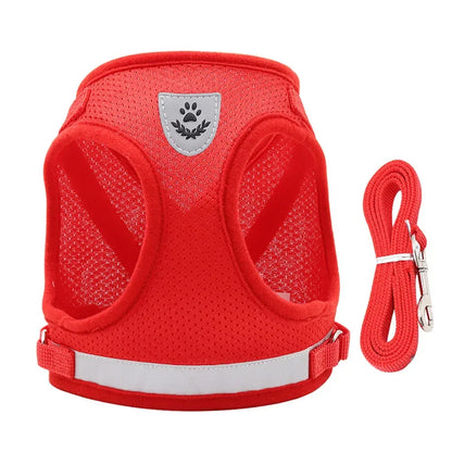Adjustable Cat Harness & Leash Set