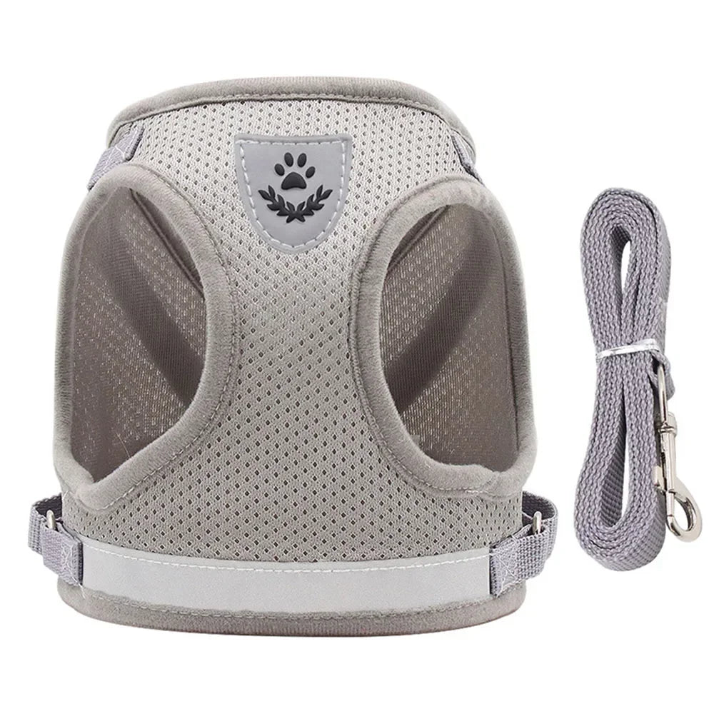 Adjustable Cat Harness & Leash Set
