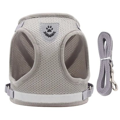 Adjustable Cat Harness & Leash Set