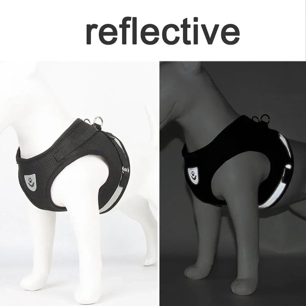 Adjustable Cat Harness & Leash Set