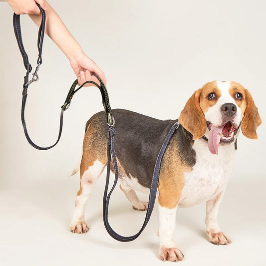 Multifunctional Free Hands & Double Head Dog Leash