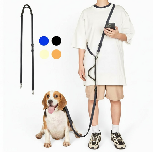Multifunctional Free Hands & Double Head Dog Leash