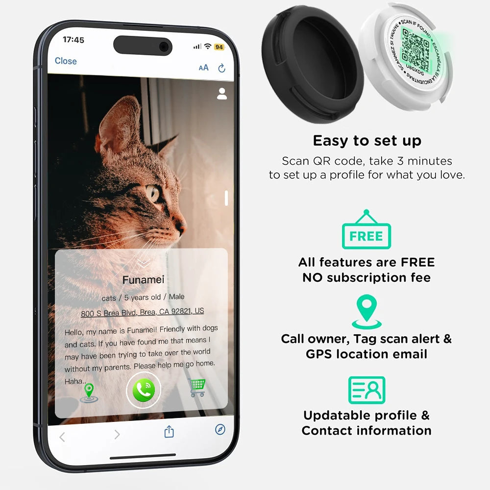 Reflective Kitten Collar with AirTag Case & QR Tag