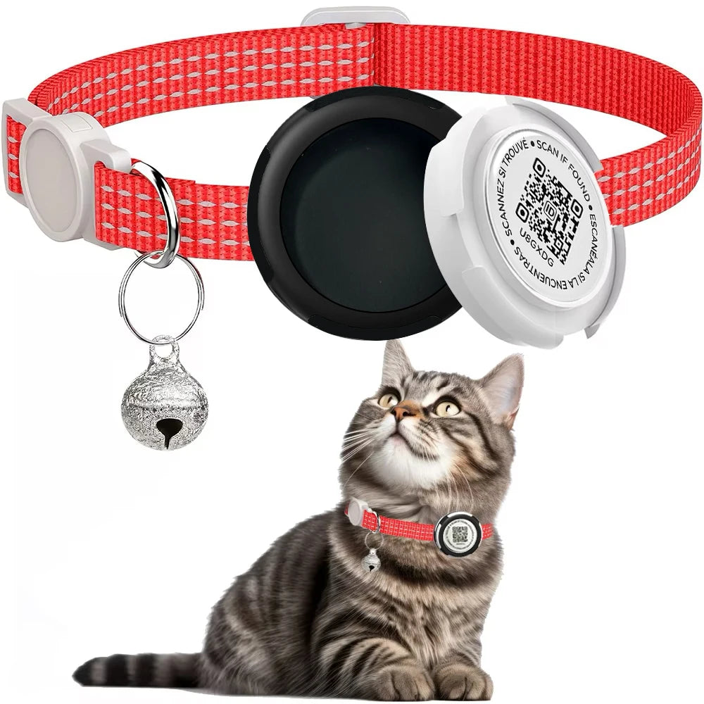 Reflective Kitten Collar with AirTag Case & QR Tag