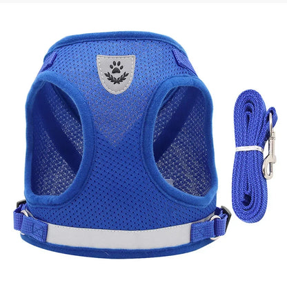 Adjustable Cat Harness & Leash Set