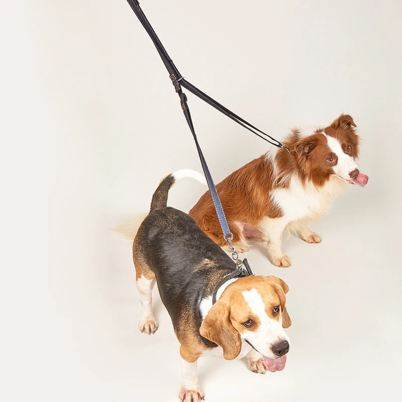 Multifunctional Free Hands & Double Head Dog Leash