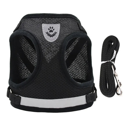 Adjustable Cat Harness & Leash Set